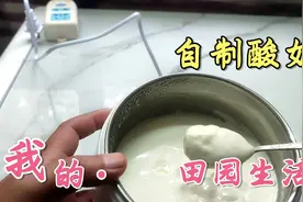 小肖20元买个酸奶机，自制酸奶就是这么简单，又好吃又好玩！搞起视频封面