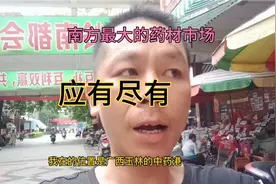 广西玉林中药港，南方最大的药材市场，做药材生意来这里视频封面