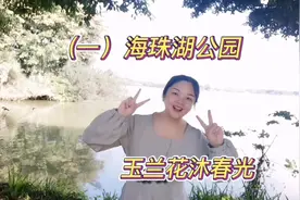 踏青系列（一）海珠湖公园，玉兰花沐浴春光视频封面