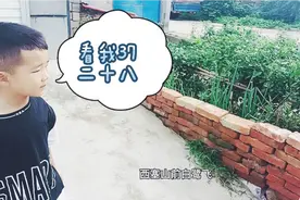 猜猜这是啥诗视频封面