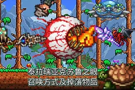 泰拉瑞亚克苏鲁之眼召唤方式及掉落物品！为什么我这么帅？为什么视频封面