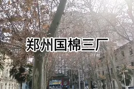 郑州国棉三厂#心纳天视频封面