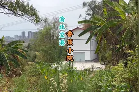 重庆主城全新乡村小院 1000/月 8分钟进城 种菜养鸡吃香蕉 喜欢不视频封面