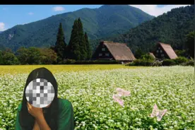 一个乡村女医生个村官的故事视频封面