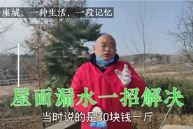 农村老平房屋面漏水，冤枉花了不少钱，山哥用聚氨酯一招解决视频封面