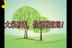 大米竟然有毒，你还敢吃吗！视频封面
