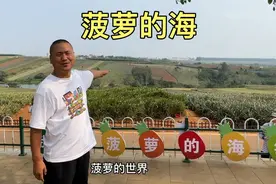 徐闻的菠萝的海，中国菠萝第一县，这里的菠萝太好吃了视频封面