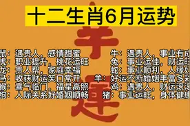 十二生肖6月份运势视频封面