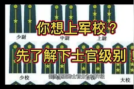 士官级别视频封面
