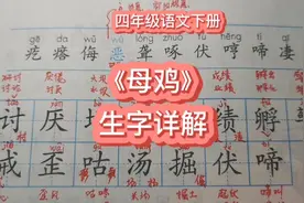 第十四课《母鸡》生字详解视频封面