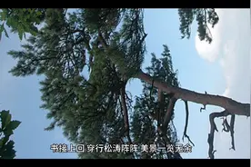 吕梁离石北遮沟至中阳丁家山穿越～下视频封面