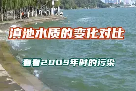 谈滇池水质的变化，当年曾经是绿油漆和臭水塘的惨状视频封面