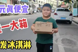 带儿子批发雪糕，什么奇怪的雪糕都有，35元买一大箱看下有多少根视频封面