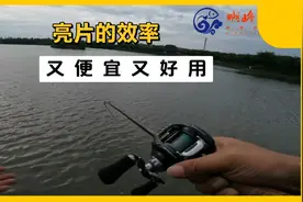 亮片果然是路亚最简单，最经济实用的饵！这中鱼效率，简直了！视频封面