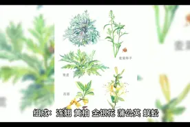 复方黄柏液涂剂，用于皮肤红肿溃疡