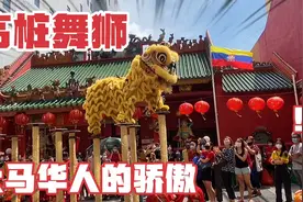 马来西亚有“舞狮王国”美誉，源自广东南狮，高桩舞狮是华人自创视频封面