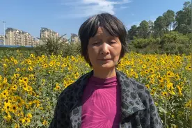 湖南省长沙市省植物园4A极，向日葵🌻等千于种花和植物供观赏视频封面