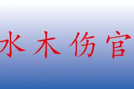 水木伤官（上），水木伤官两大格局，佩印和佩官。视频封面
