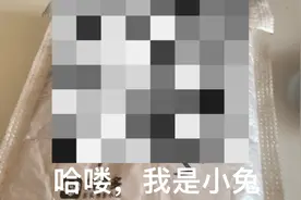 草莓熊的立体贴片！粉丝福利正在抽视频封面