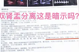 四维显示“双肾盂分离”，听说有这个5个字，就是暗示男孩，真假视频封面