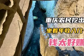 重庆农民自家挖出鱼泉，最高一天卖鱼收益12万，门票一年收入30万视频封面