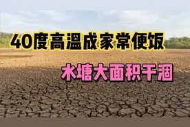安徽到底有多热？40度高温成家常便饭，水塘大面积干涸，太惨了！视频封面