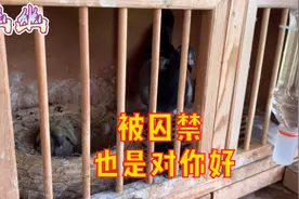 谢谢朋友们提出宝贵的建议，这方法确实好用。视频封面