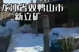 双鸭山市新立矿危房诉求有关部门给就近安置，不托不推，尽快安置视频封面