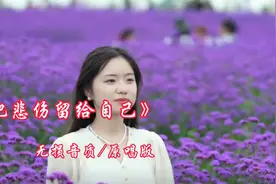 经典回放/《把悲伤留给自己》无剪辑原唱完整版/珍藏版/回忆满满视频封面