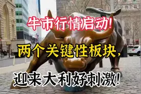 A股深夜迎来大利好！尤其是这两个关键性板块，需要引起十分关注视频封面