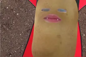 哆啦美和吸血鬼视频封面