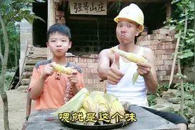 光头强自家种的包谷，绿色食品，香糯好吃！馋哭了隔壁老王的孩子视频封面