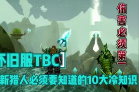 魔兽世界TBC怀旧服：猎人必须要知道的10大冷知识，伤害必须第一视频封面