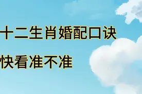 十二生肖婚配口诀歌，快看准不准视频封面