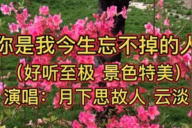 《你是我今生忘不掉的人》你是我忘不掉的人，放不下这破碎的缘分视频封面