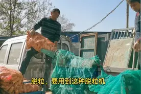 1000斤玉米棒，能出多少斤玉米？养牛买哪种更划算，真相在于试验视频封面