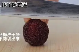 人贩子陈香莲