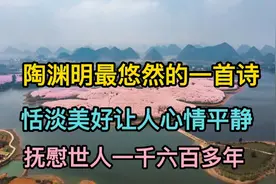陶渊明最悠然的一首诗，恬淡美好，让人心情平静，抚慰世人千年！视频封面