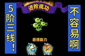 植物大战僵尸:我终于有5阶三线射手了！！1年时间才攒齐视频封面