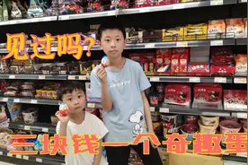 小男孩看到3块一个奇趣蛋，买一个试试，想坐摩天轮，结果没有人视频封面