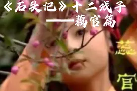 《石头记》十二戏子——藕官篇第二集：生死茫茫视频封面