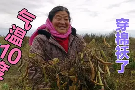 黑龙江农村气温降到10度，老农民穿着棉袄干活，冬天来了视频封面