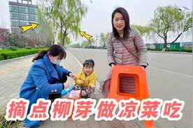 老公闺女啥都吃，抱着凳子去树上摘柳树芽，做好的凉菜爷俩抢着吃视频封面