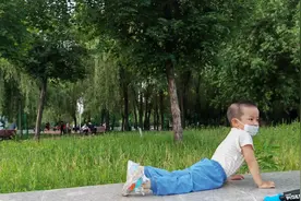 顽皮的小猴子视频封面