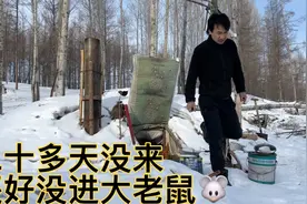 野外地窨子生活视频封面