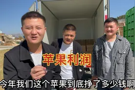 三兄弟合伙做苹果生意，挣了多少钱？应该怎么分？视频封面