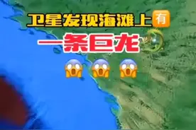 卫星地图拍到海滩上一条巨型“龙”不知道有多重？视频封面