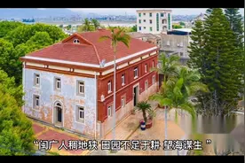海外巨富林绍良视频封面