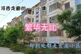河西走廊的一个小镇，人们经济发达生活富裕，却到处都是荒废小区视频封面