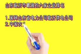 山东临沂市最强的六家企业排名视频封面